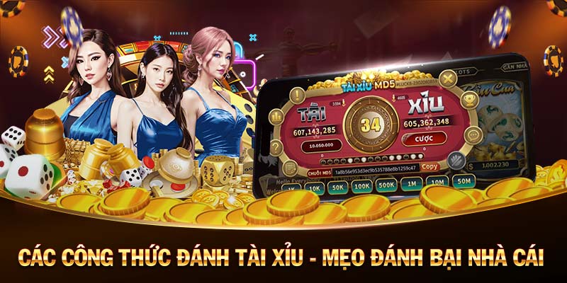 tha ku casino 🎲game bài đổi thưởng tgbco_shbet casino online mobile casino 🎰 games